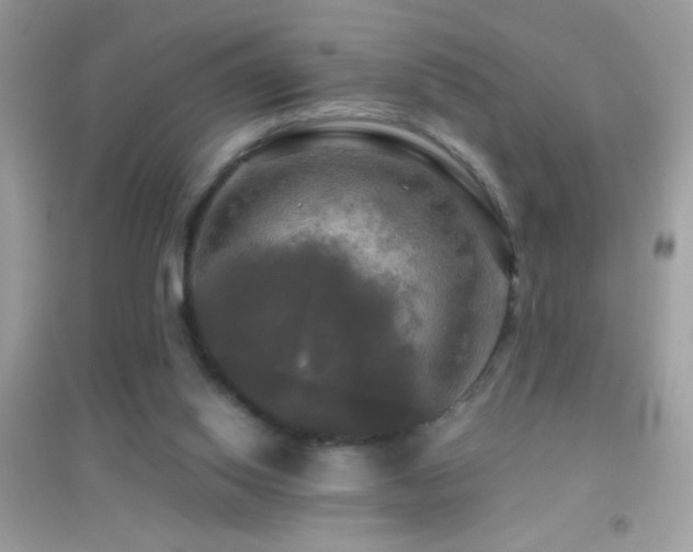 X0000095110062200712071227