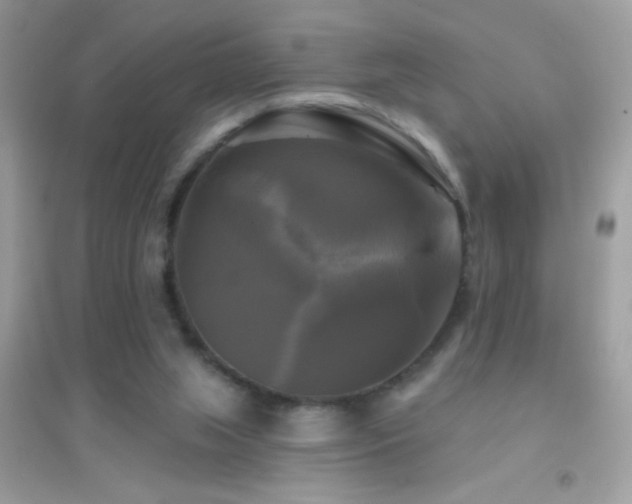 X0000095110063200712071227