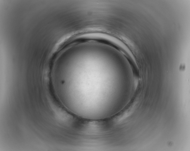 X0000095110064200712071227