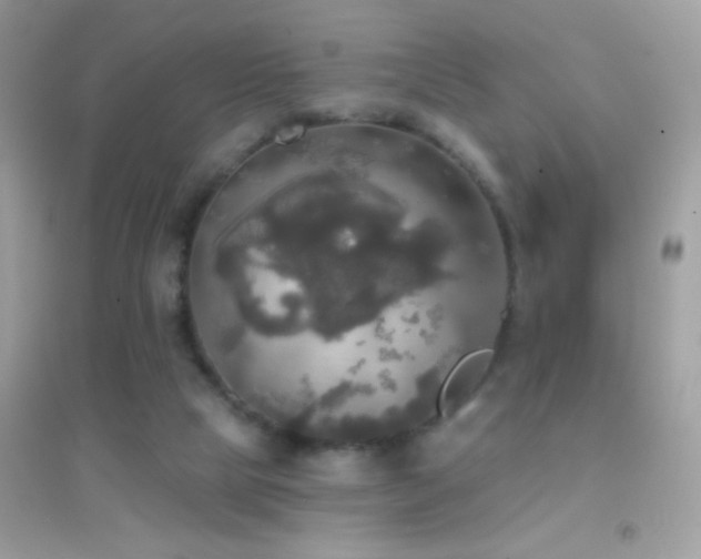 X0000095110065200712071227