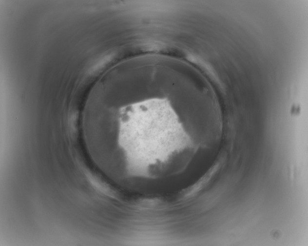 X0000095110066200712071227