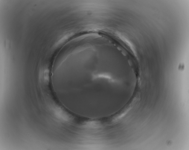 X0000095110067200712071227