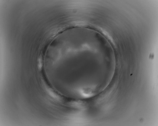 X0000095110069200712071227