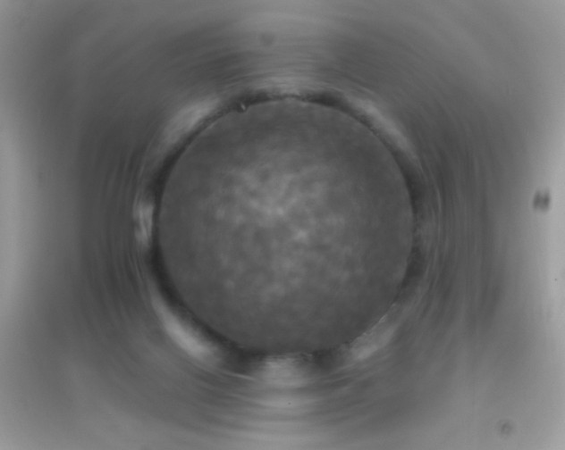 X0000095110070200712071227