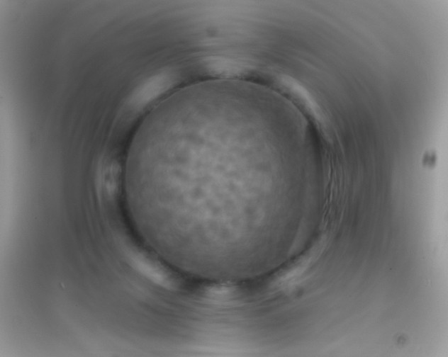 X0000095110071200712071227