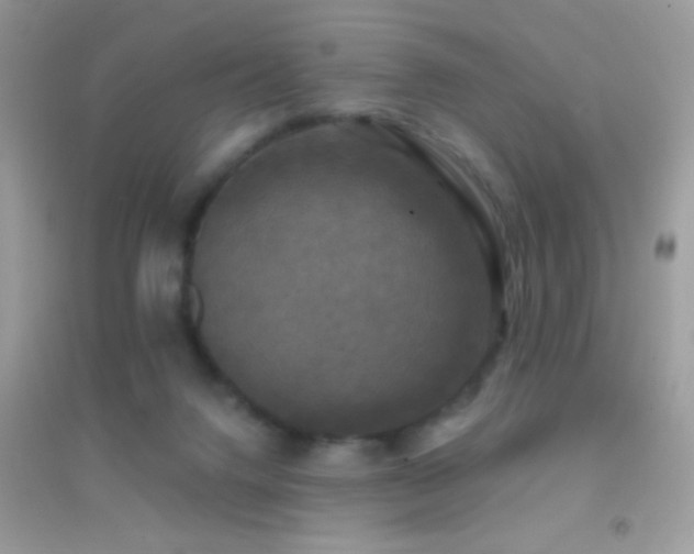 X0000095110072200712071227