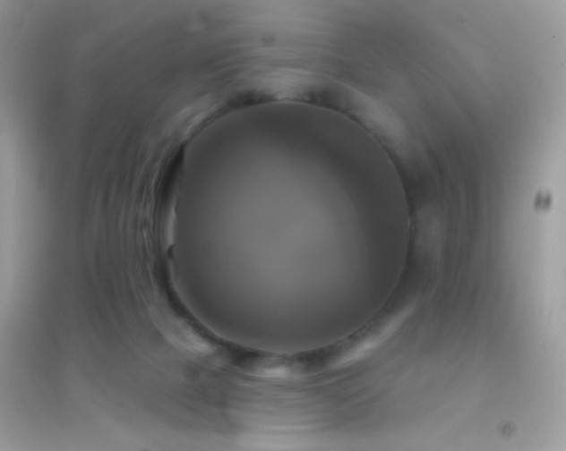 X0000095110073200712071227