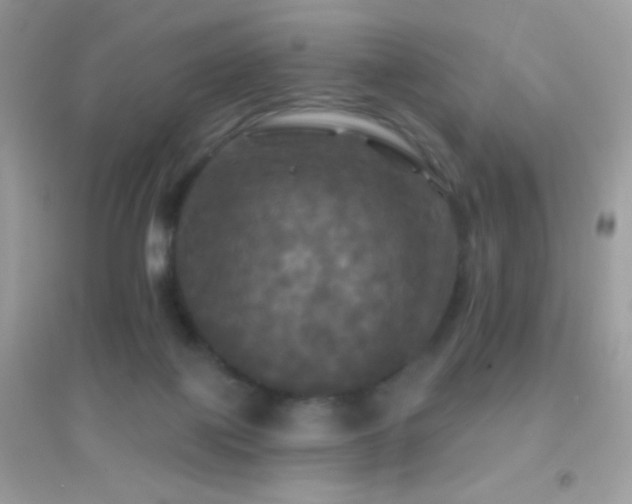 X0000095110075200712071227