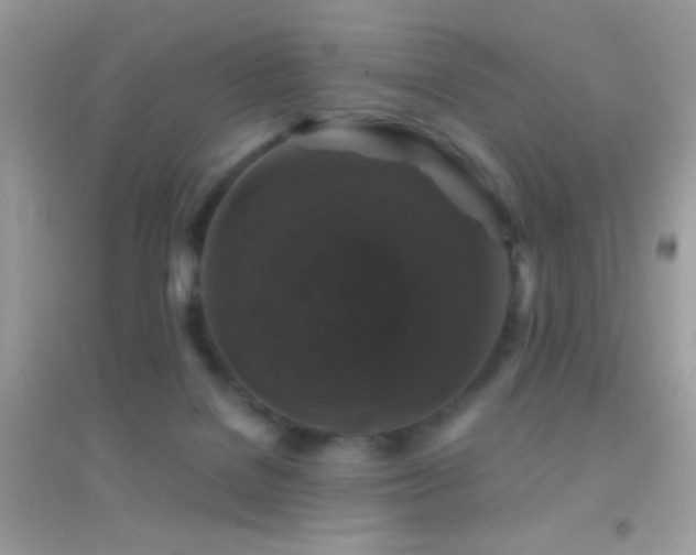 X0000095110076200712071227