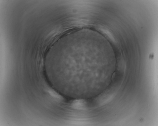 X0000095110077200712071227