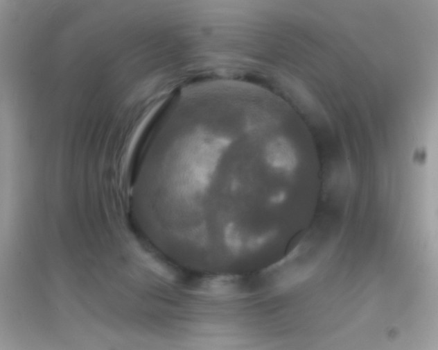 X0000095110078200712071227