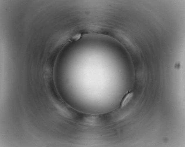 X0000095110079200712071227