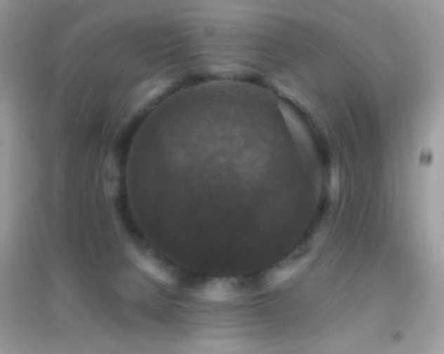 X0000095110080200712071227