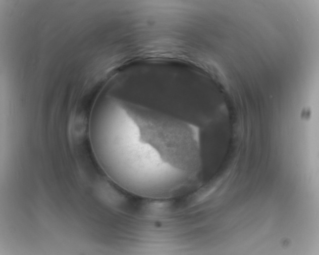 X0000095110081200712071227