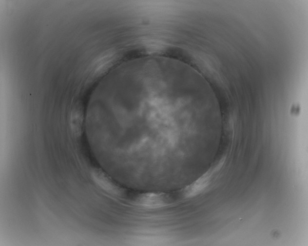 X0000095110082200712071227