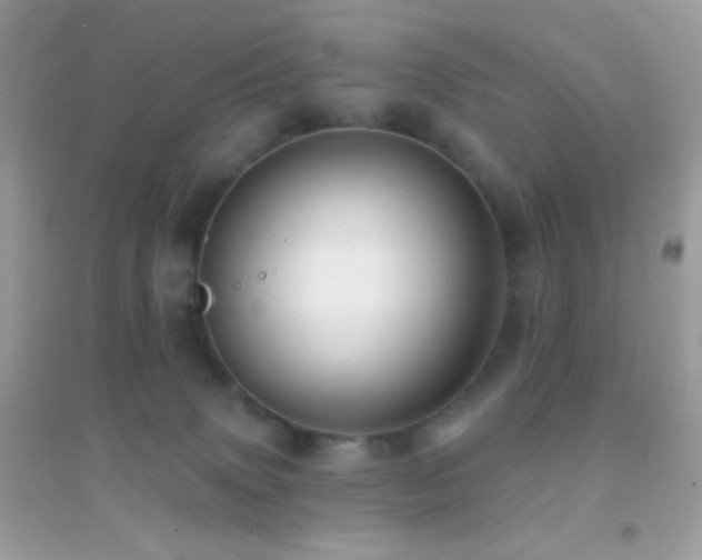 X0000095110083200712071227