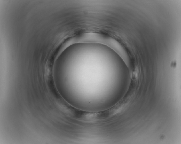 X0000095110084200712071227