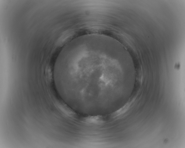 X0000095110086200712071227