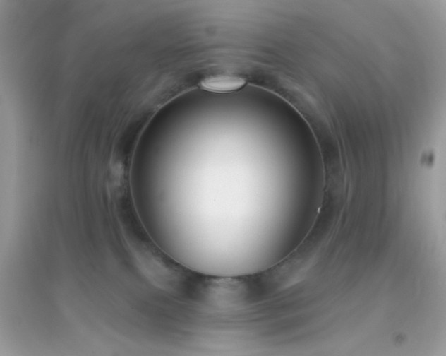 X0000095110087200712071227