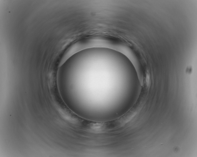 X0000095110088200712071227