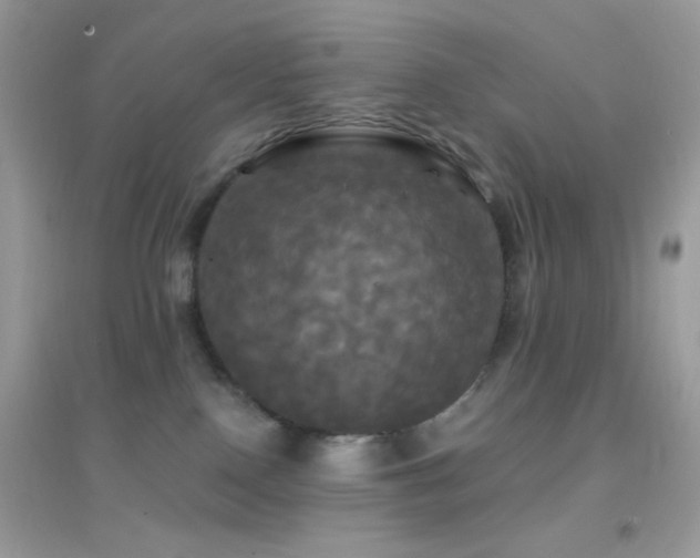 X0000095110090200712071227