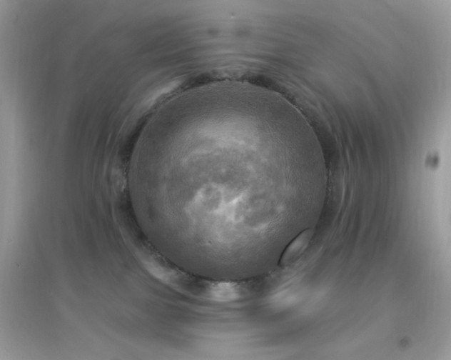 X0000095110091200712071227