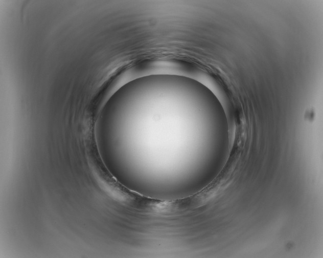 X0000095110092200712071227