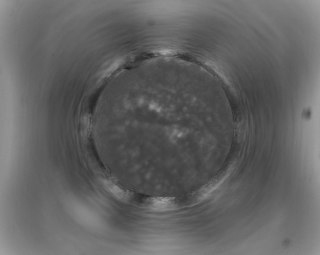 X0000095110093200712071227