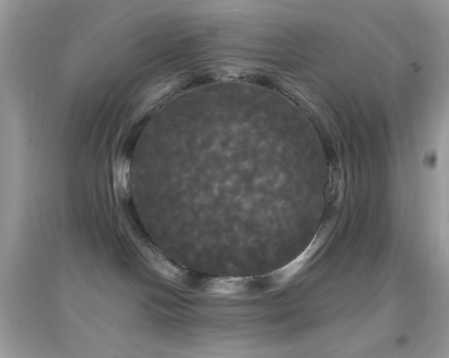 X0000095110094200712071227