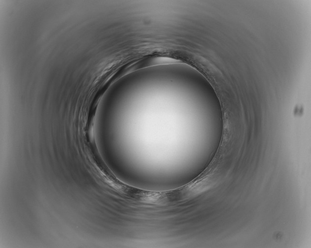 X0000095110096200712071227