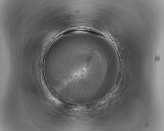 X0000095110097200712071227