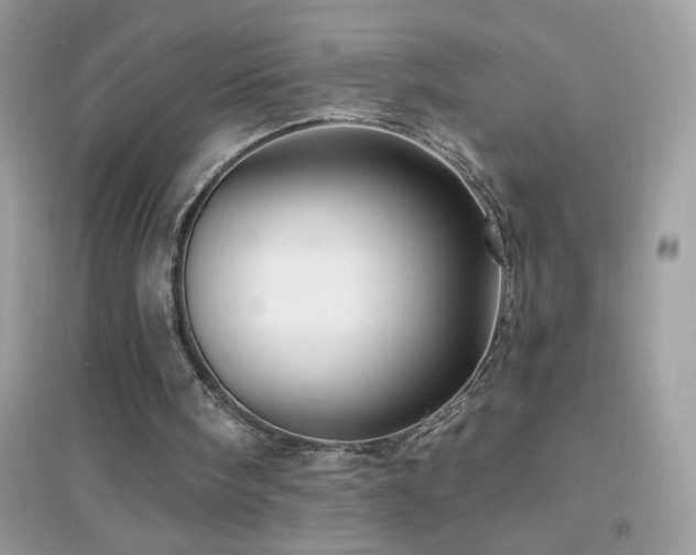 X0000095110098200712071227