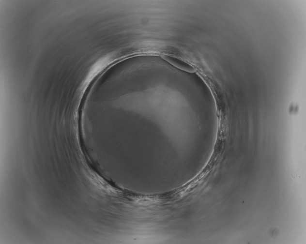 X0000095110099200712071227