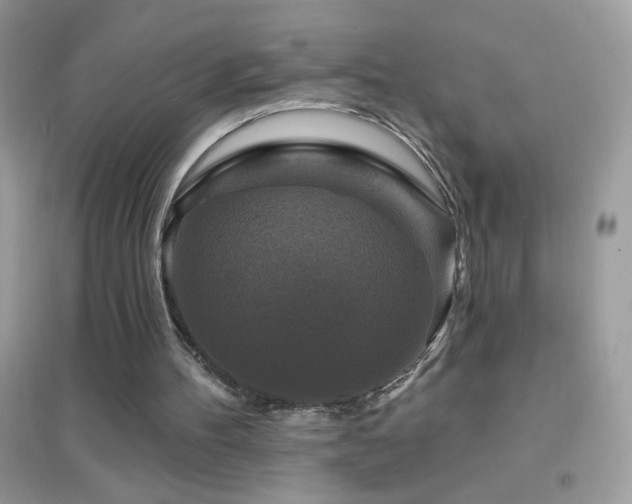 X0000095110100200712071227