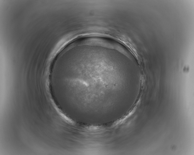 X0000095110101200712071227