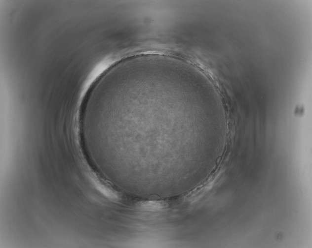 X0000095110102200712071227