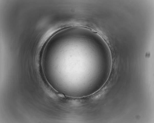 X0000095110103200712071227