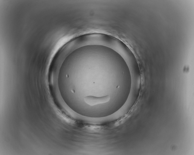 X0000095110104200712071227