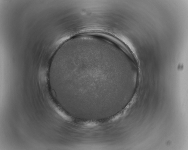 X0000095110105200712071227