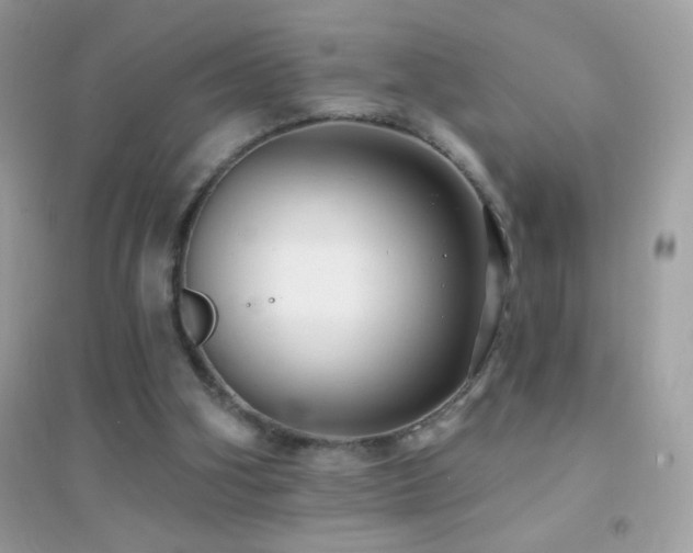 X0000095110106200712071227