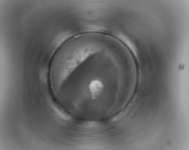 X0000095110107200712071227