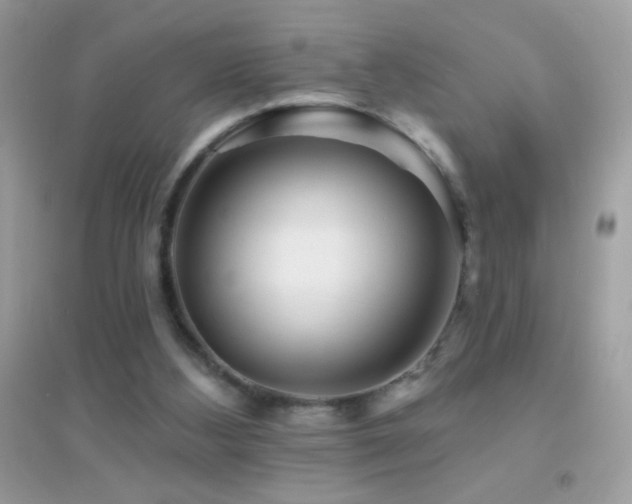 X0000095110108200712071227