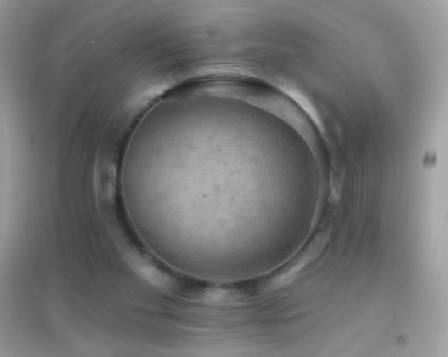 X0000095110109200712071227