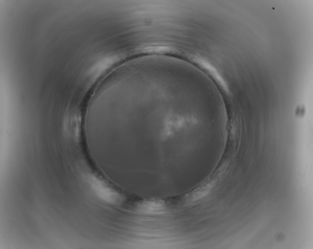 X0000095110110200712071226