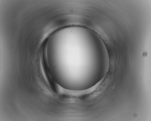 X0000095110112200712071226