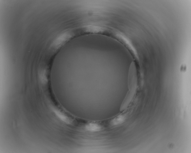 X0000095110114200712071226