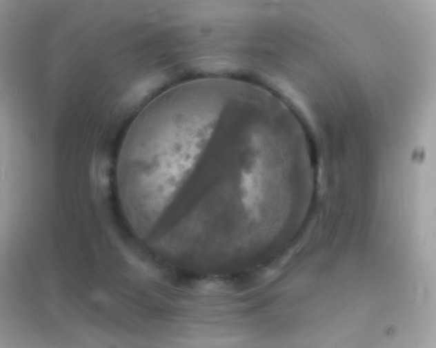 X0000095110115200712071226