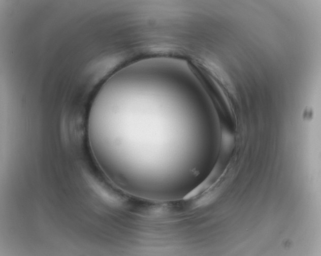 X0000095110116200712071226