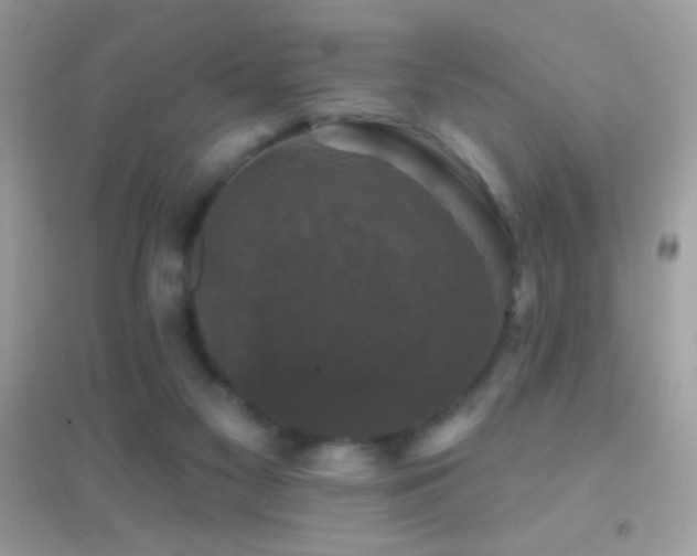 X0000095110117200712071226