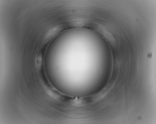 X0000095110118200712071226